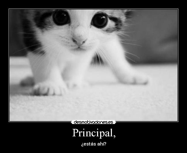 Principal, - ¿estás ahí?