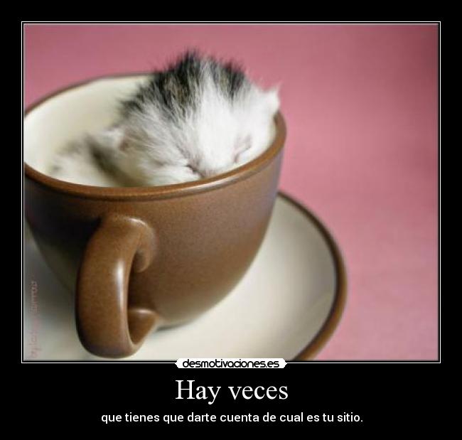 Hay veces - que tienes que darte cuenta de cual es tu sitio.