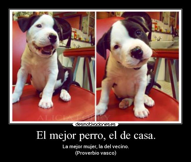 El mejor perro, el de casa. - La mejor mujer, la del vecino.
(Proverbio vasco)