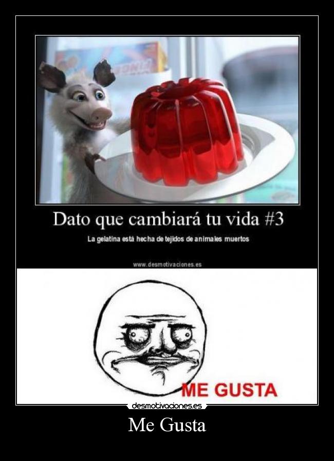 Me Gusta - 