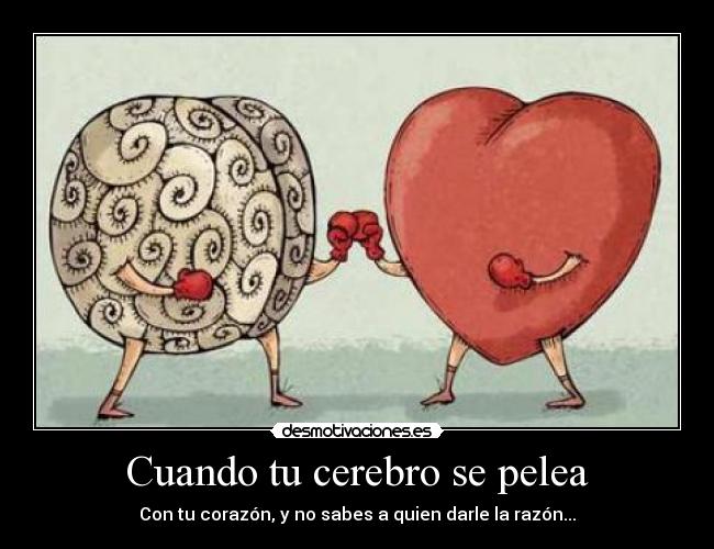 Cuando tu cerebro se pelea - Con tu corazón, y no sabes a quien darle la razón...