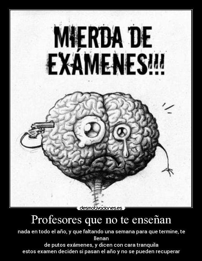 Profesores que no te enseñan - 