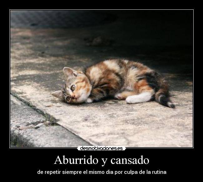 carteles gato desmotivaciones