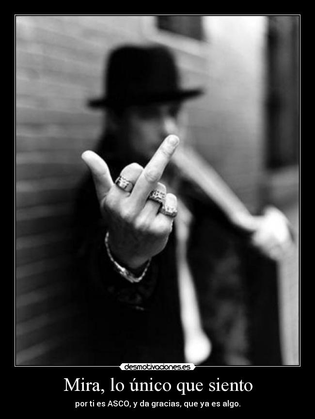 carteles asco desmotivaciones