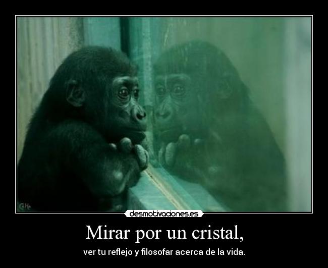 Mirar por un cristal, - 