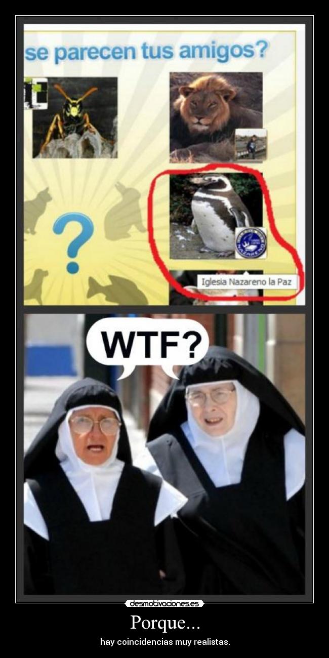 Porque... - hay coincidencias muy realistas.