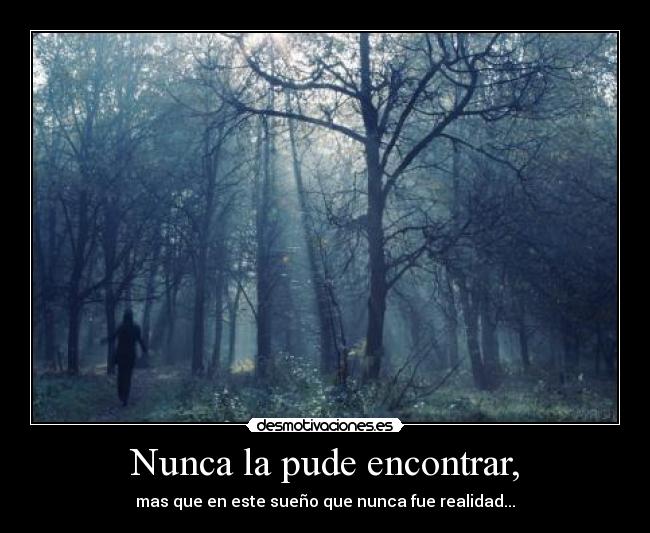 Nunca la pude encontrar, - mas que en este sueño que nunca fue realidad...