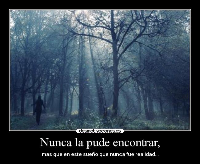 Nunca la pude encontrar, - 