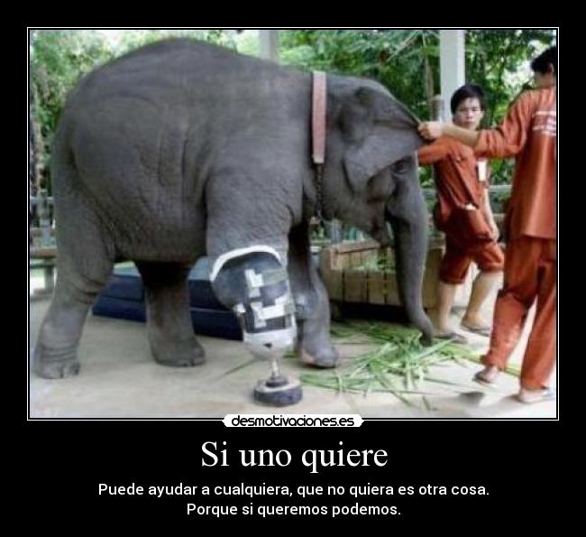 Si uno quiere - 