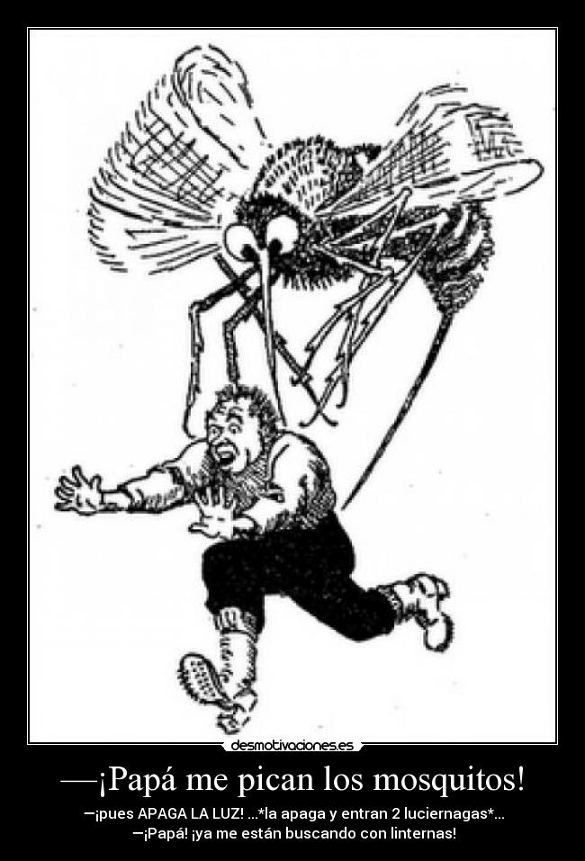 —¡Papá me pican los mosquitos! - —¡pues APAGA LA LUZ! ...*la apaga y entran 2 luciernagas*...
—¡Papá! ¡ya me están buscando con linternas!