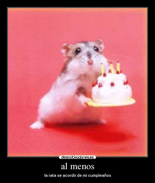 al menos - la rata se acordó de mi cumpleaños