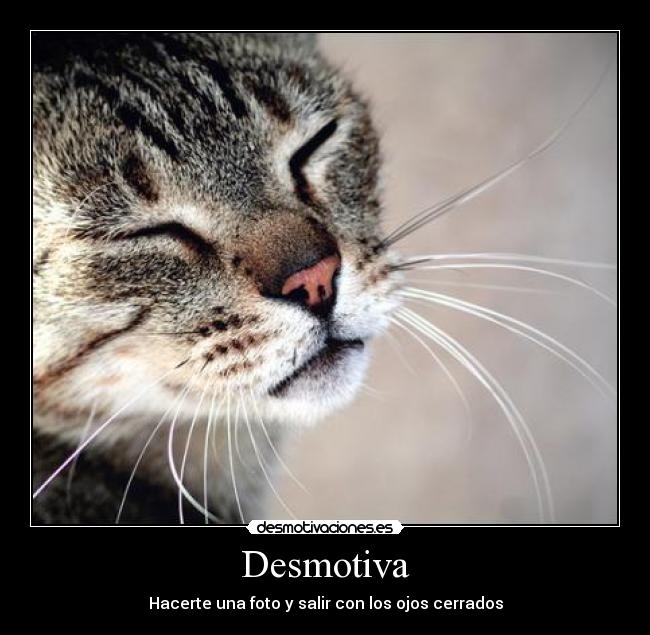 Desmotiva - Hacerte una foto y salir con los ojos cerrados