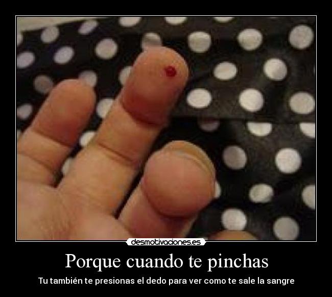 carteles nos gusta ver sangre somos unos sadicos desmotivaciones