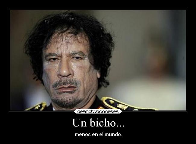 Un bicho... - 