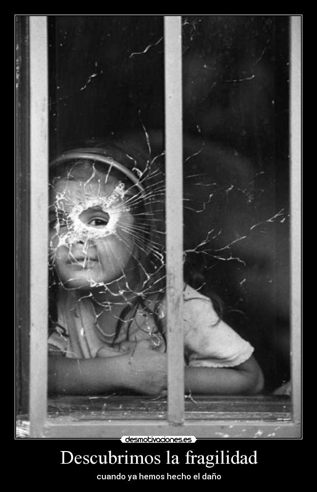 Descubrimos la fragilidad - cuando ya hemos hecho el daño