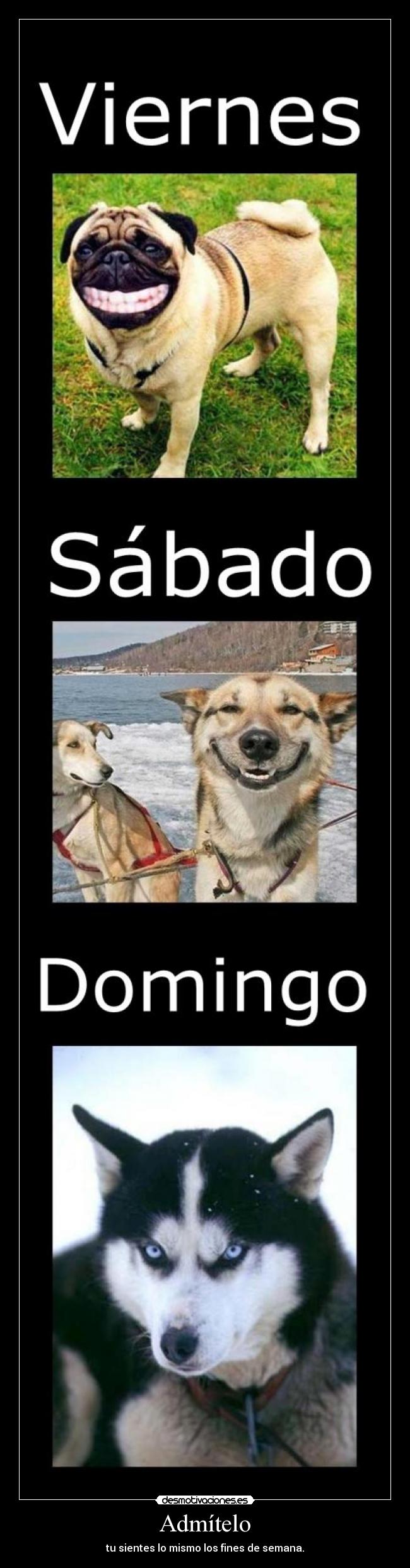 Admítelo - tu sientes lo mismo los fines de semana.