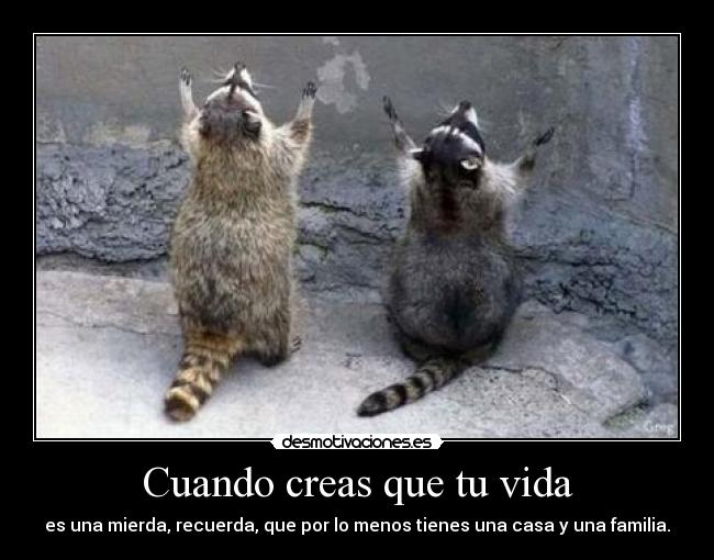 Cuando creas que tu vida -