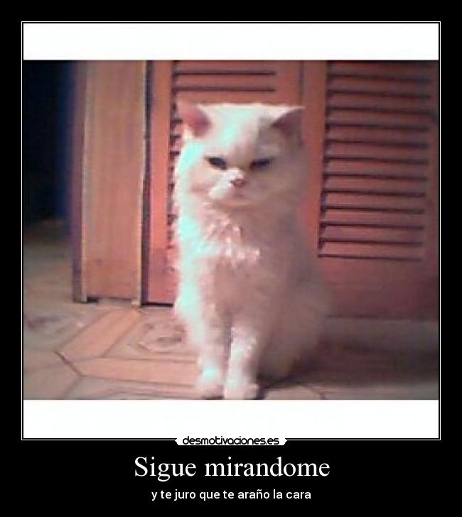 Sigue mirandome -