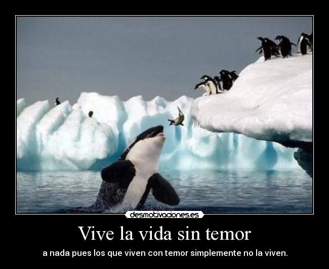 Vive la vida sin temor - 
