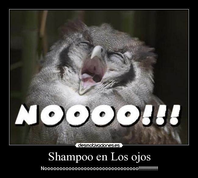 Shampoo en Los ojos -