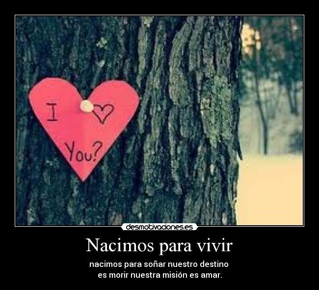 Nacimos para vivir -