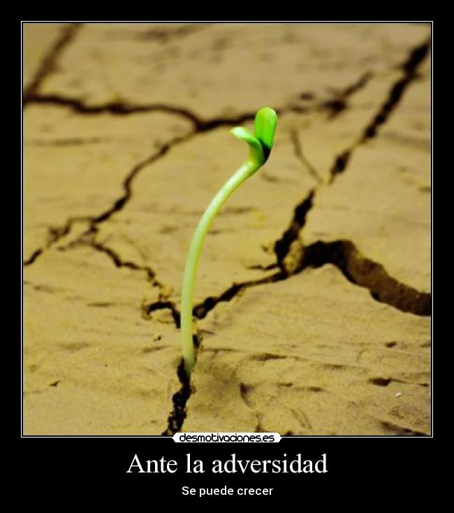 Ante la adversidad -