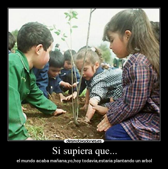 Si supiera que... - el mundo acaba mañana,yo,hoy todavia,estaria plantando un arbol