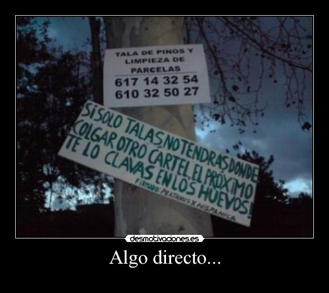 Algo directo... - 