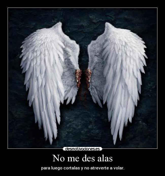 No me des alas - para luego cortalas y no atreverte a volar.