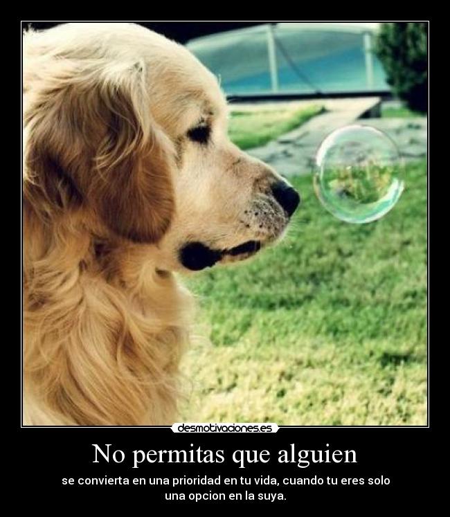 No permitas que alguien -