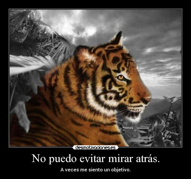 No puedo evitar mirar atrás. -