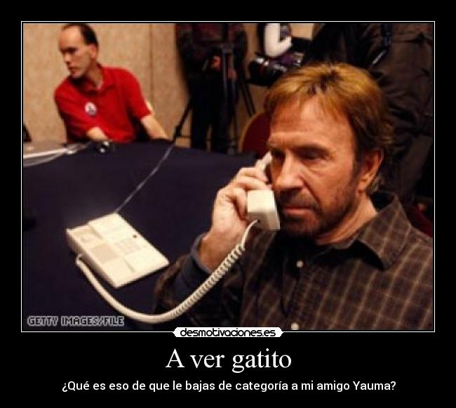 carteles yauma chuck norris desmotivaciones