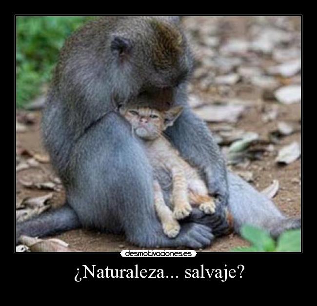¿Naturaleza... salvaje? -