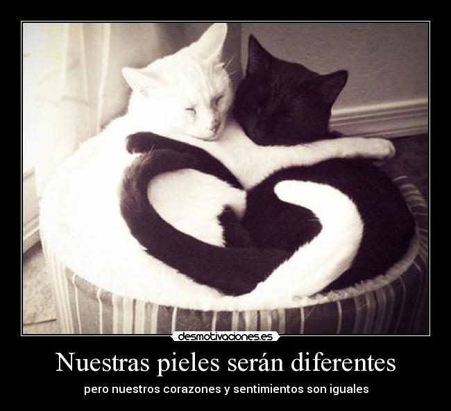 Nuestras pieles serán diferentes -