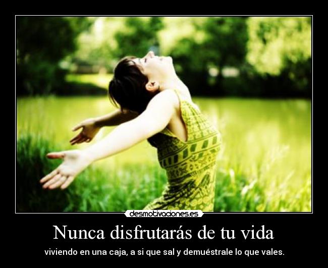 carteles vida nunca disfrutaras vida desmotivaciones
