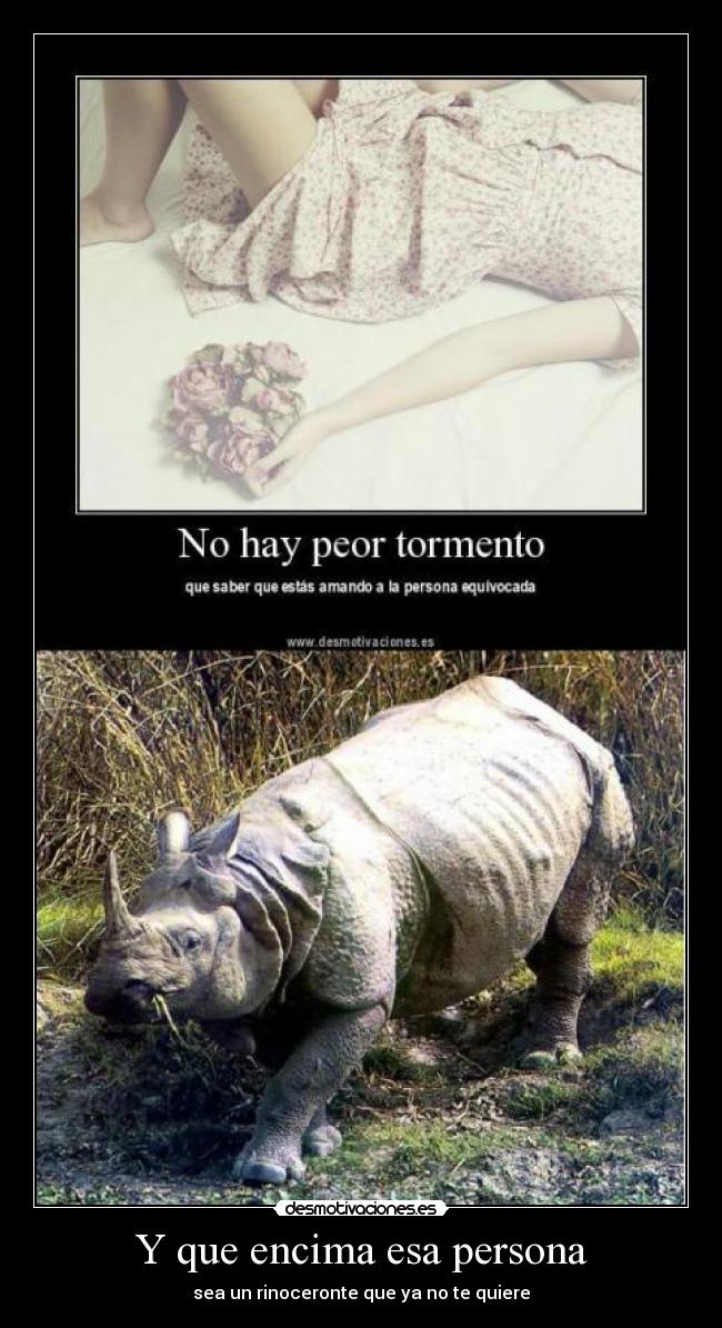 Y que encima esa persona - sea un rinoceronte que ya no te quiere