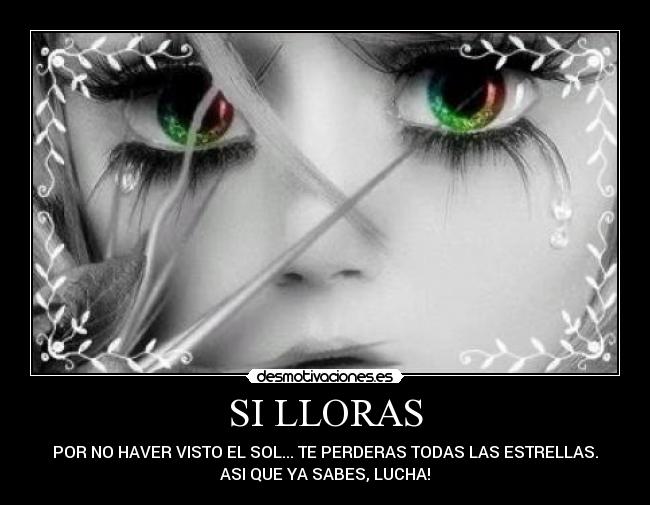 SI LLORAS - POR NO HAVER VISTO EL SOL... TE PERDERAS TODAS LAS ESTRELLAS.
ASI QUE YA SABES, LUCHA!