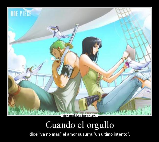 carteles one piece robin zoro orgullo amor intento desmotivaciones