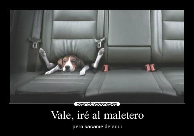 Vale, iré al maletero - pero sacame de aquí