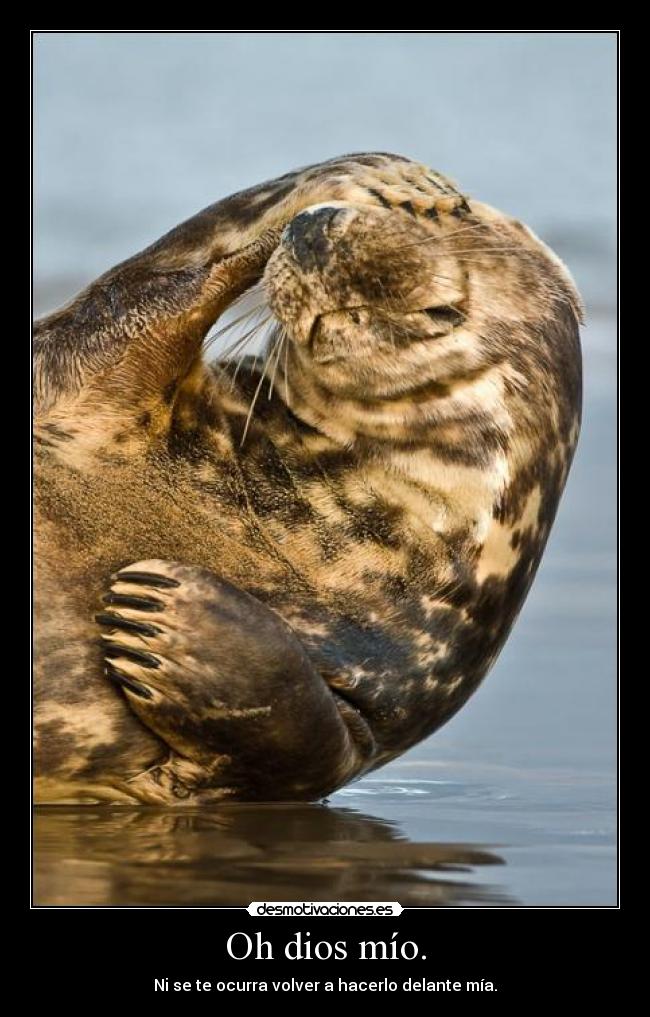 Oh dios mío. - Ni se te ocurra volver a hacerlo delante mía.