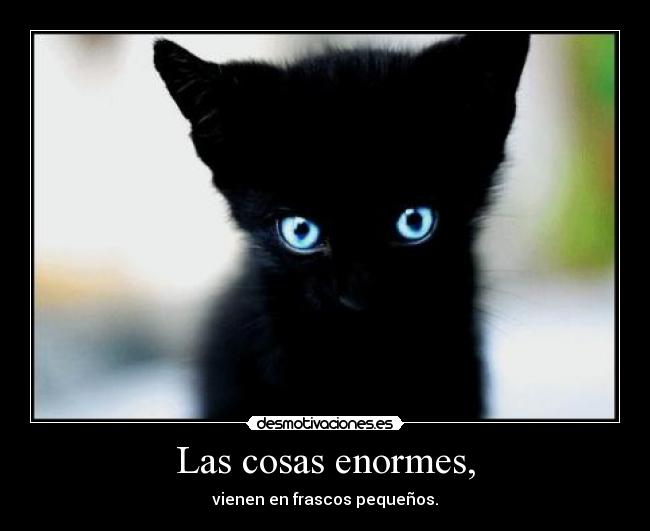 Las cosas enormes, - vienen en frascos pequeños.