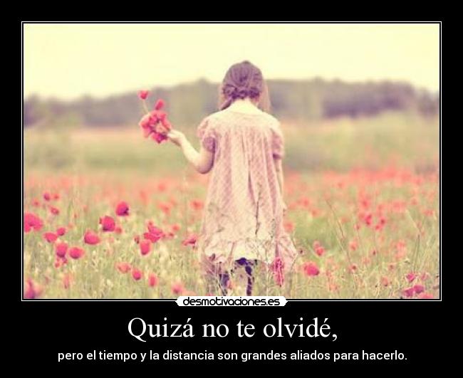 carteles lauralwaysmile desmotivaciones