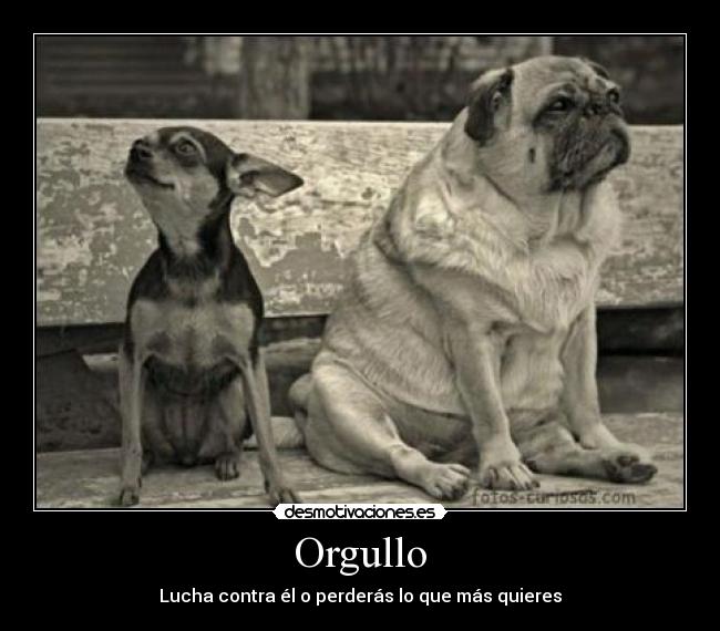 Orgullo - Lucha contra él o perderás lo que más quieres