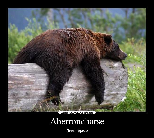 carteles aberroncho aberroncharse epico oso arbol animal desmotivaciones