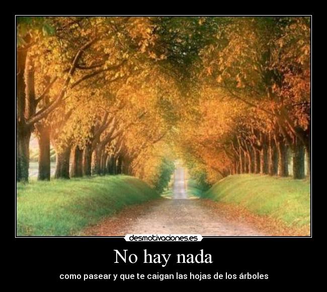 No hay nada - como pasear y que te caigan las hojas de los árboles