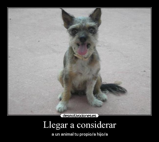 Llegar a considerar - 