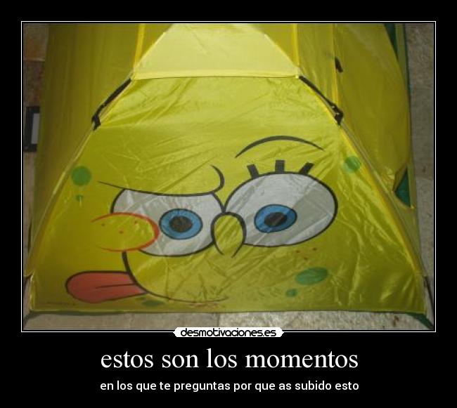 estos son los momentos -