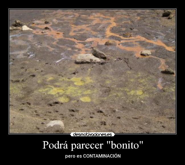 Podrá parecer bonito -
