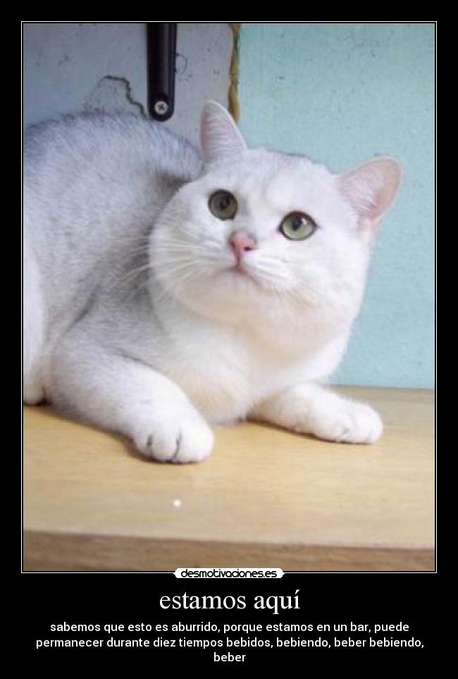 estamos aquí - sabemos que esto es aburrido, porque estamos en un bar, puede
permanecer durante diez tiempos bebidos, bebiendo, beber bebiendo,
beber