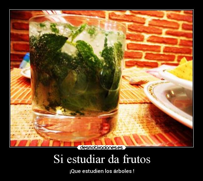 Si estudiar da frutos - 